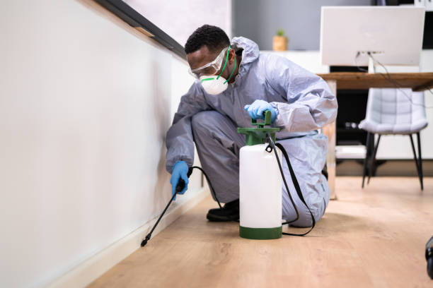 Professional Pest Control in San Diego, CA